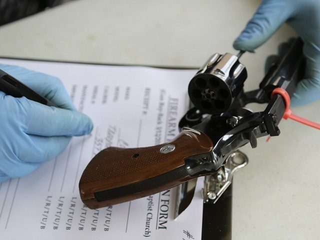 gun control pistol firearm
