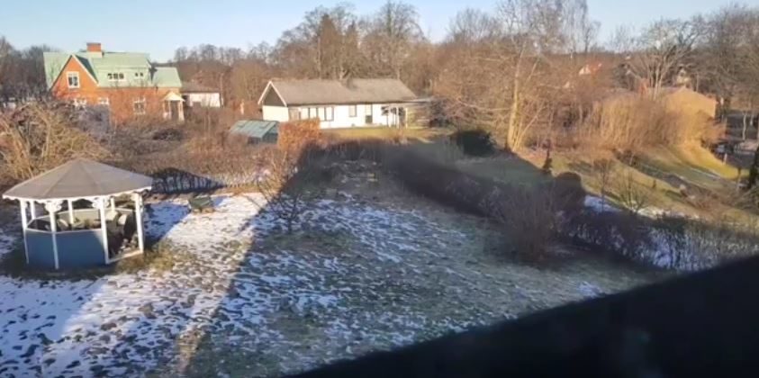 Click to enlarge Trumpeting sounds in Sweden