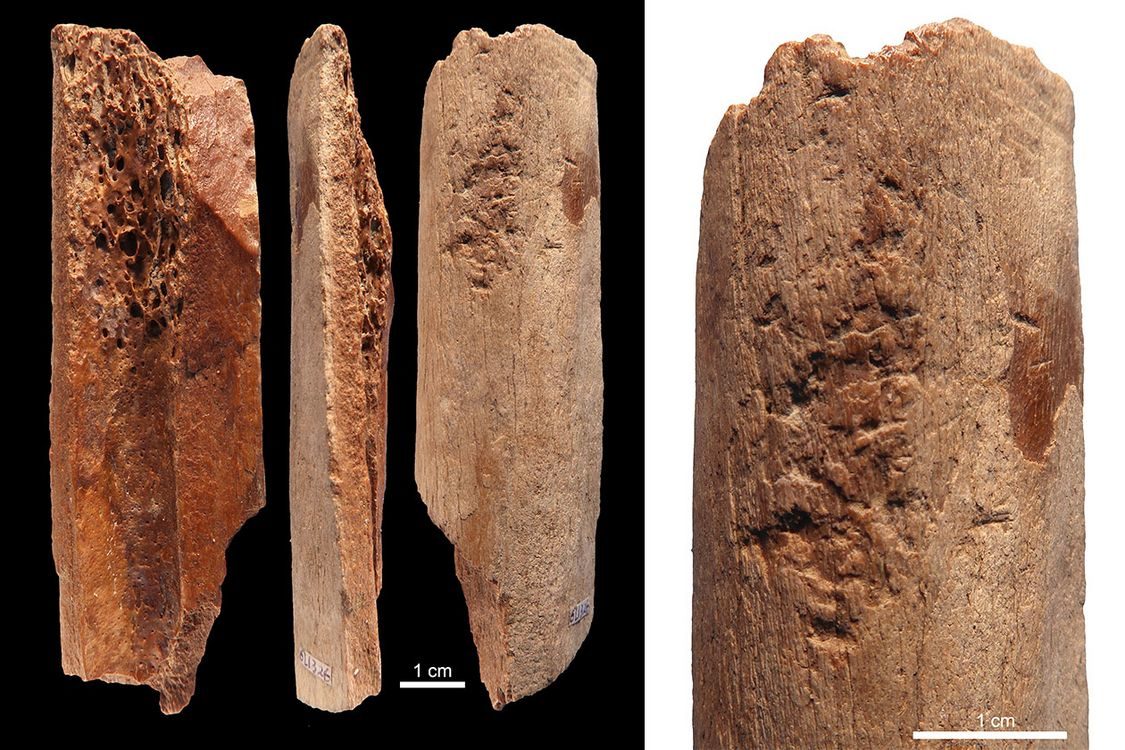Ancient Bone Tools