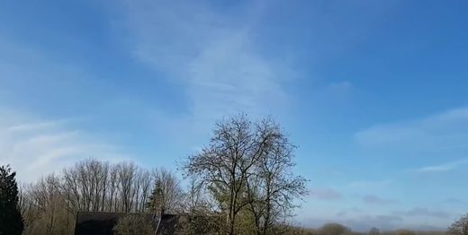 Trumpet sounds in Belgium