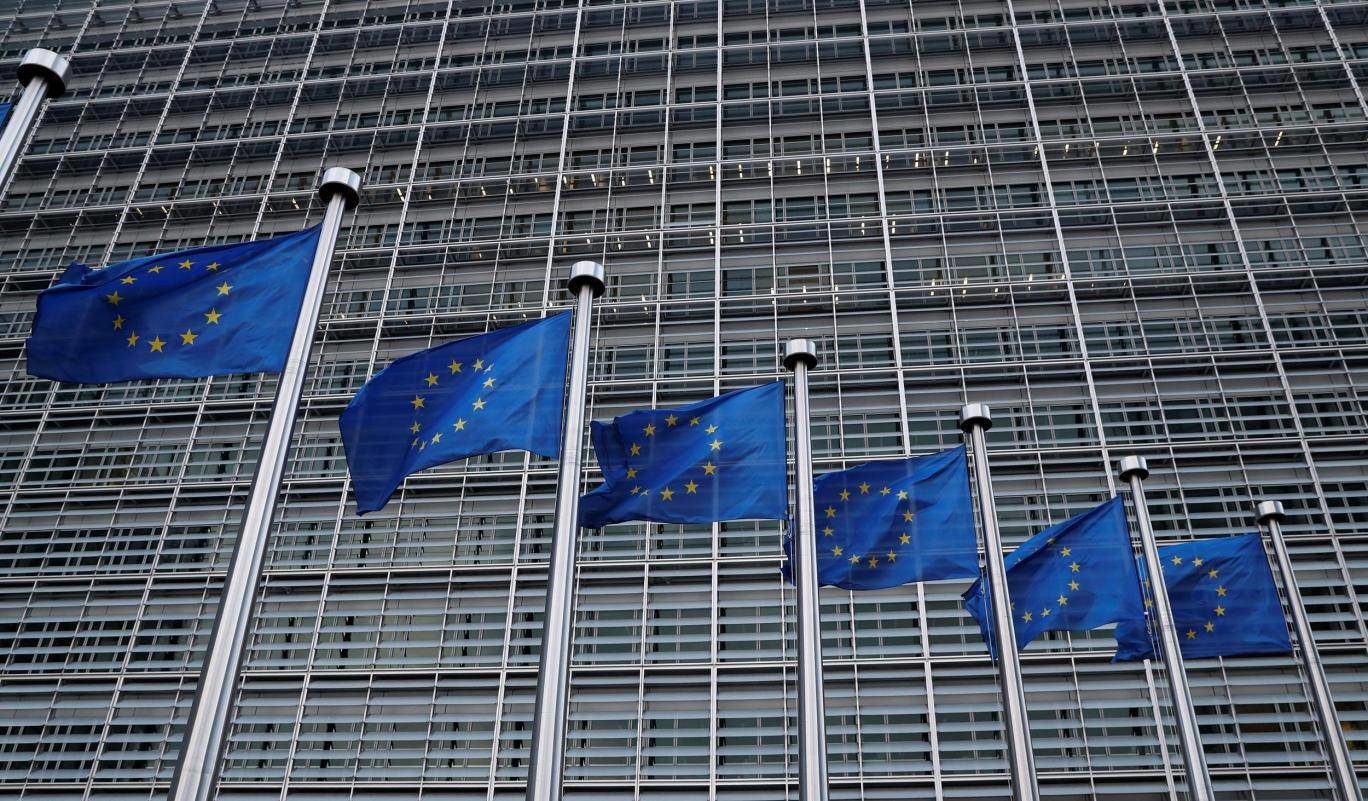 Click to enlarge EU flags