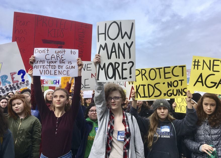 student gun protest