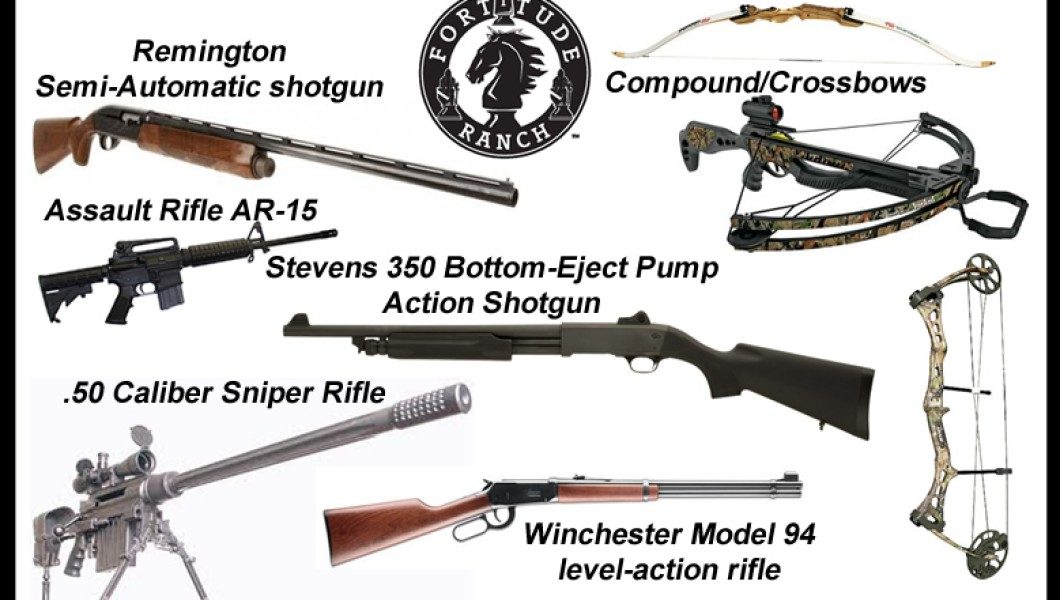Fortitude Ranch weapons