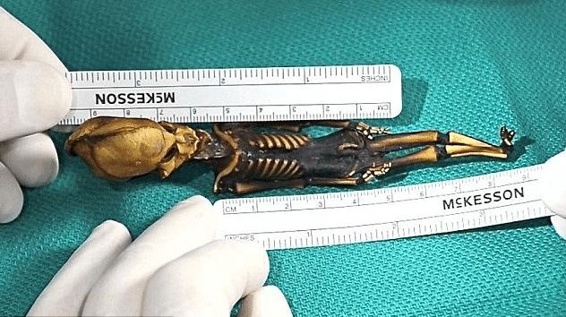 Atacama Humanoid
