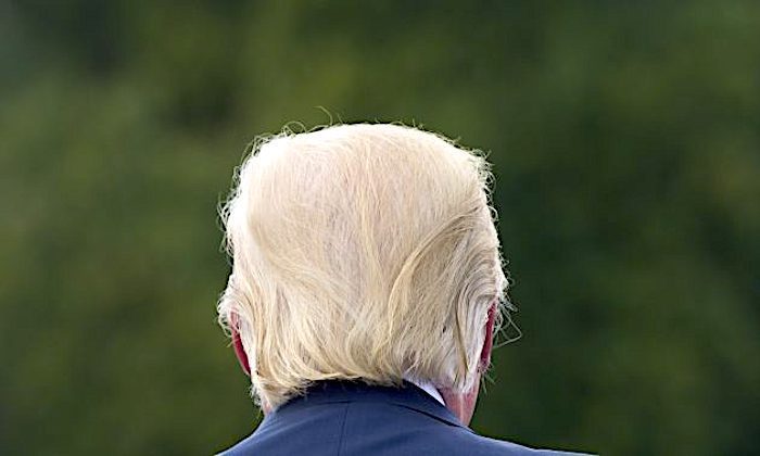 Click to enlarge Trumpback