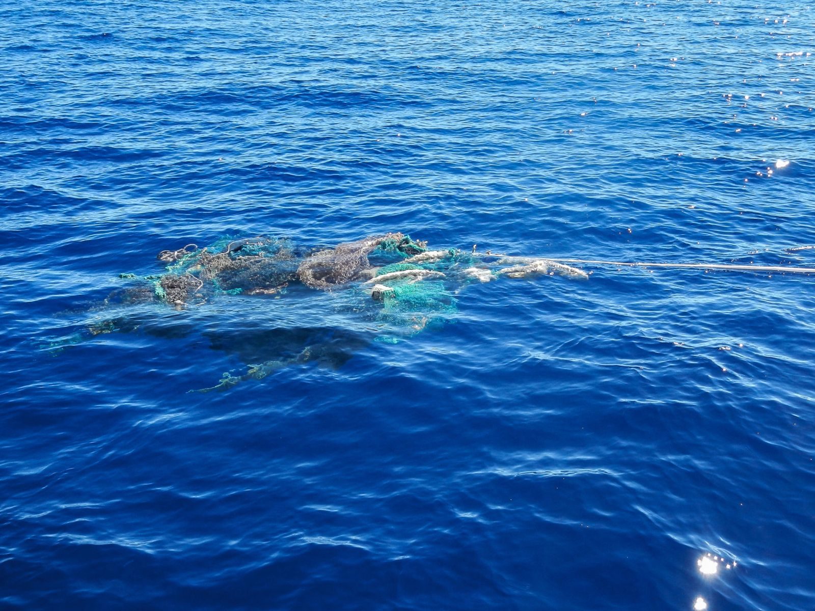 Click to enlarge Discarded fishing gear in the Great Pacific Garbage Patch.