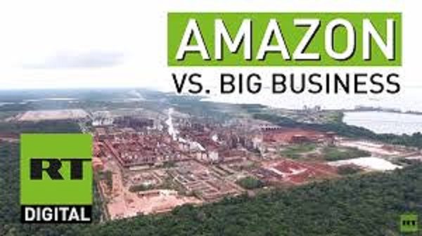 Amazon vs big business