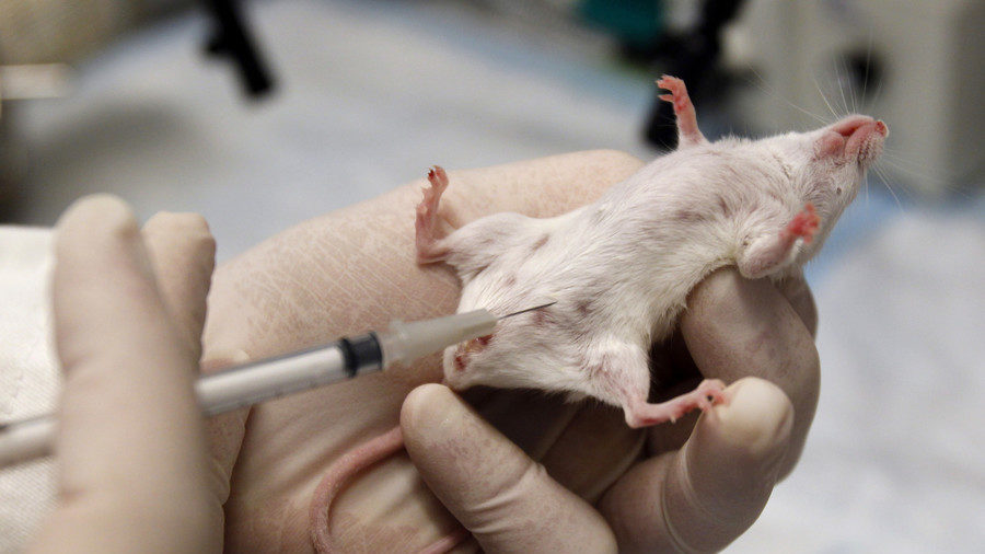 Click to enlarge lab mouse
