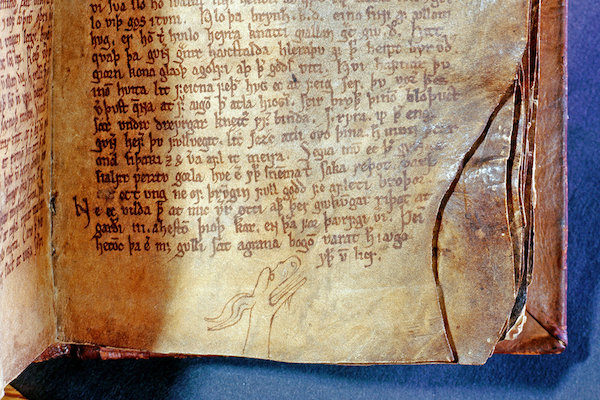 The Codex Regius