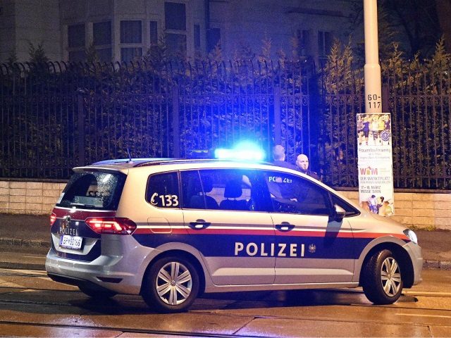 Austrian Police Car