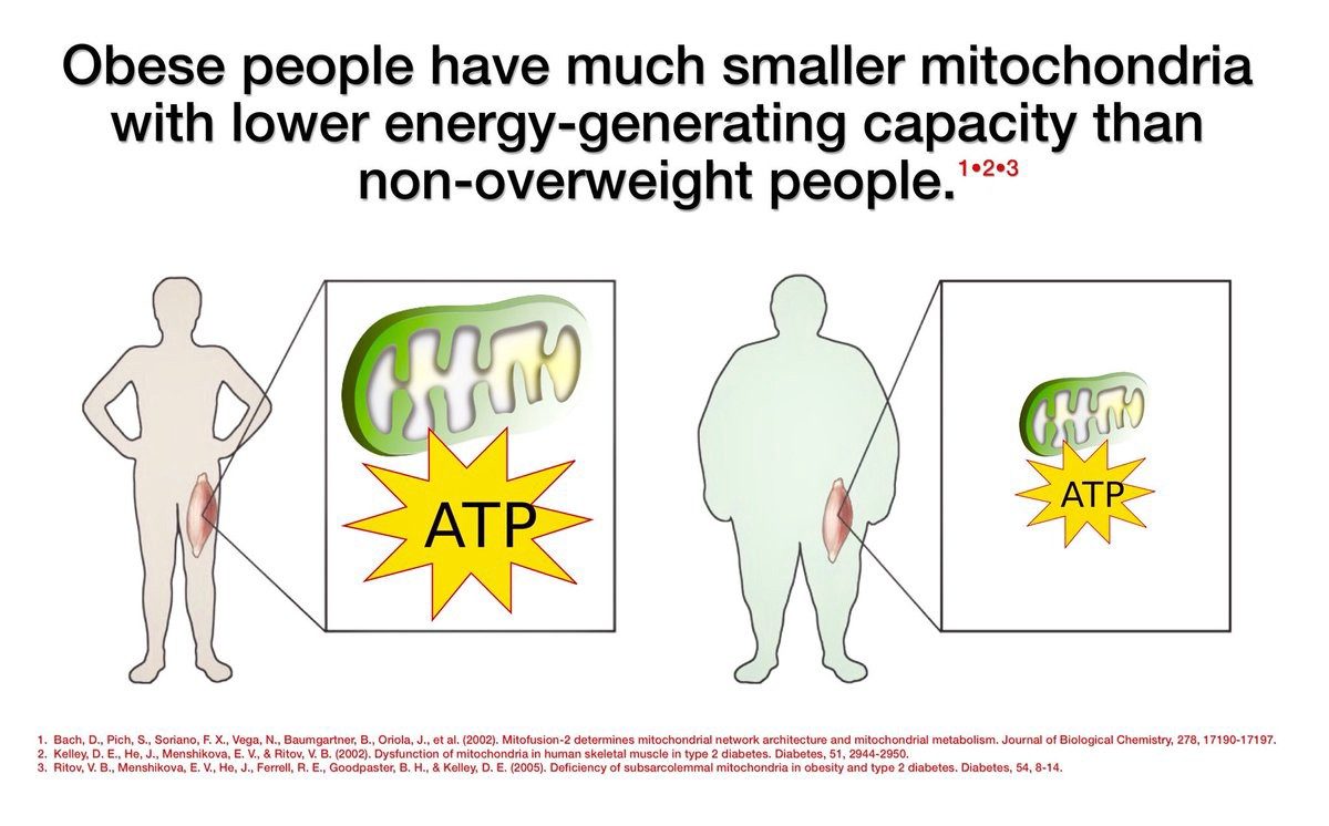 overweight people ATP