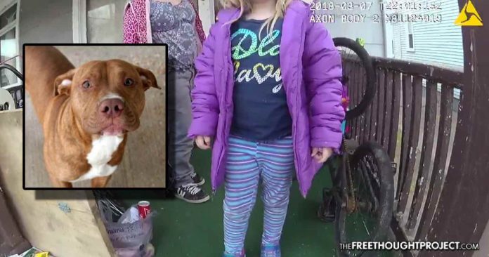 Chillicothe cop shots family dog