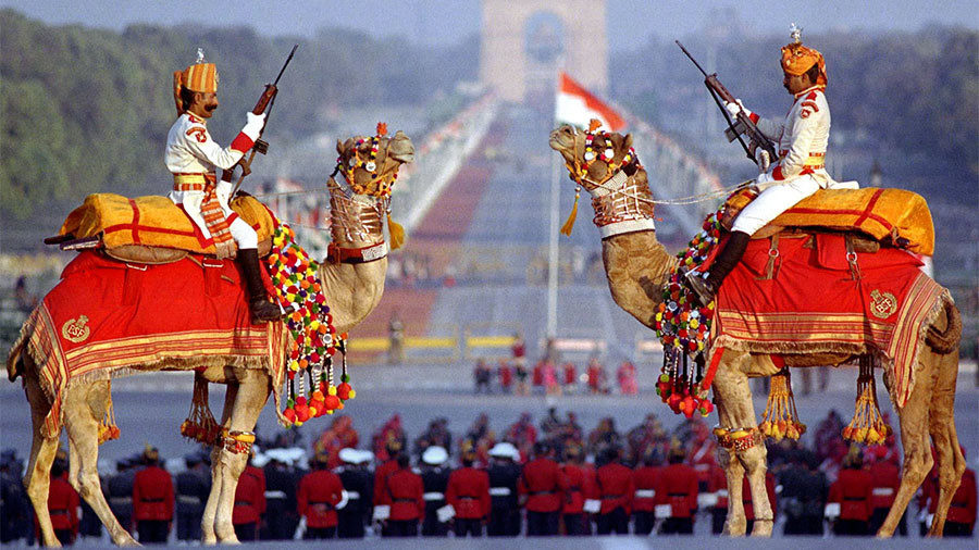 Indian men on camels
