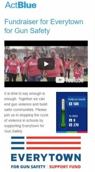 everytown for gun safety, act blue
