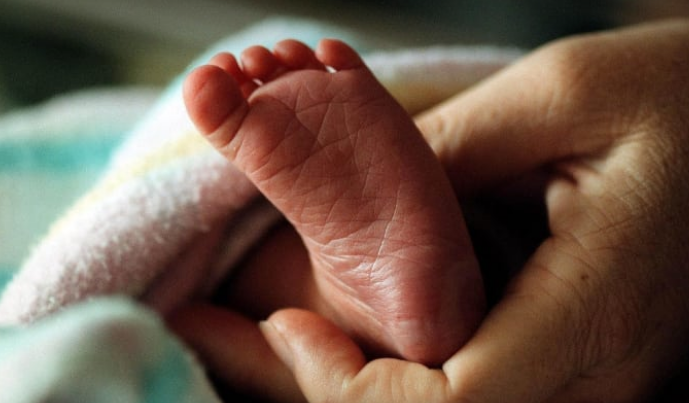 Newborn's foot