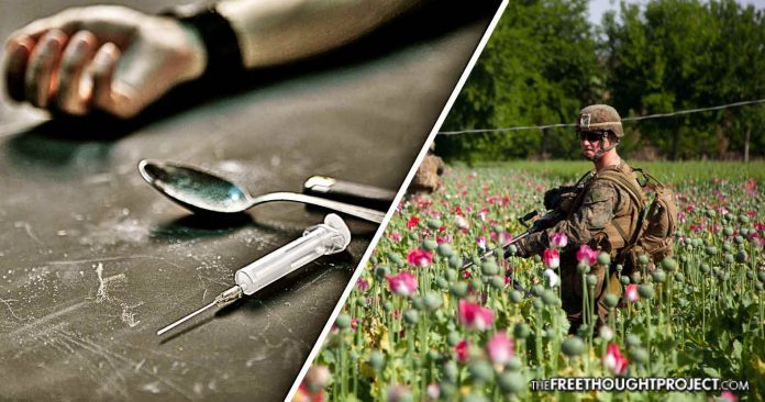 Click to enlarge poppy fields opioids