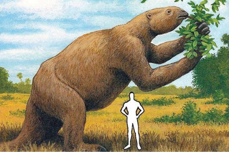 giant ground sloth relative size