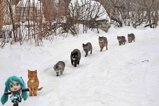 Click to enlarge Meanwhile in Russia