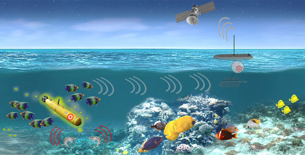 Military ocean life