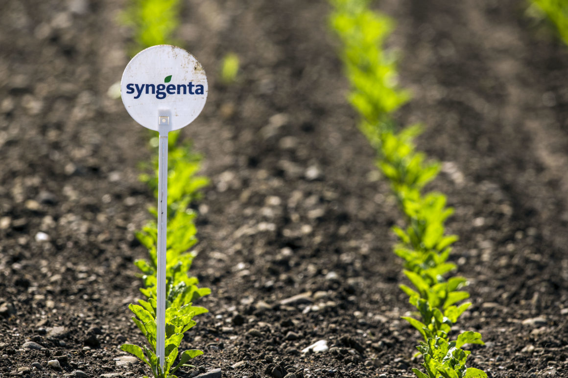 Syngenta