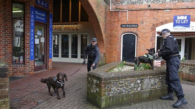 dog handlers salisbury