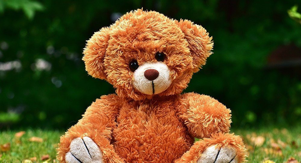 Teddy bear