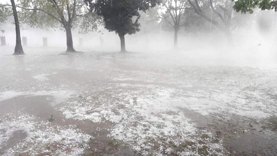 A significant number of crops were devastated by the storm