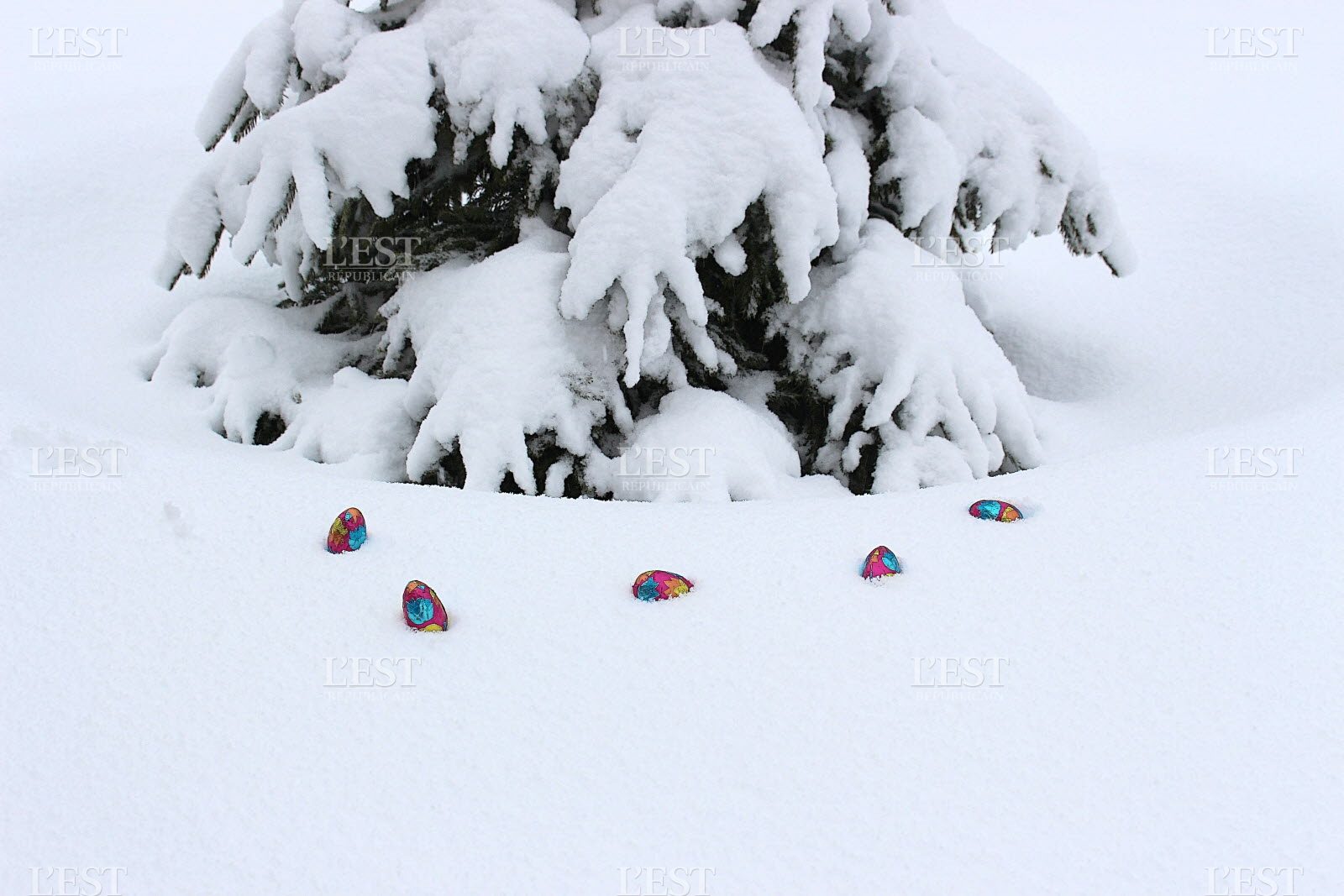 snow, eggs, Easter