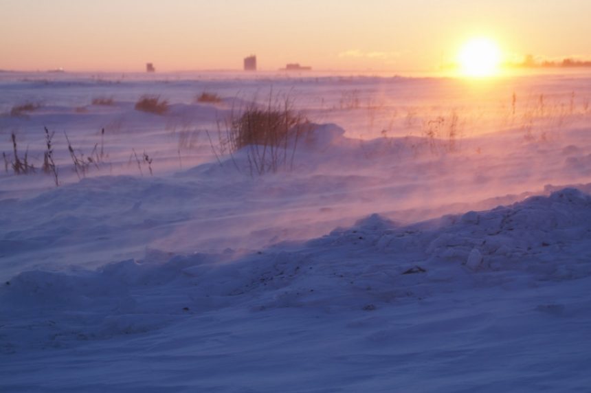 Click to enlarge cold