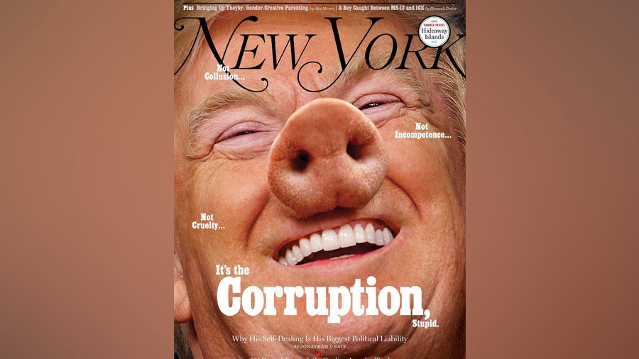New York mag trump cover