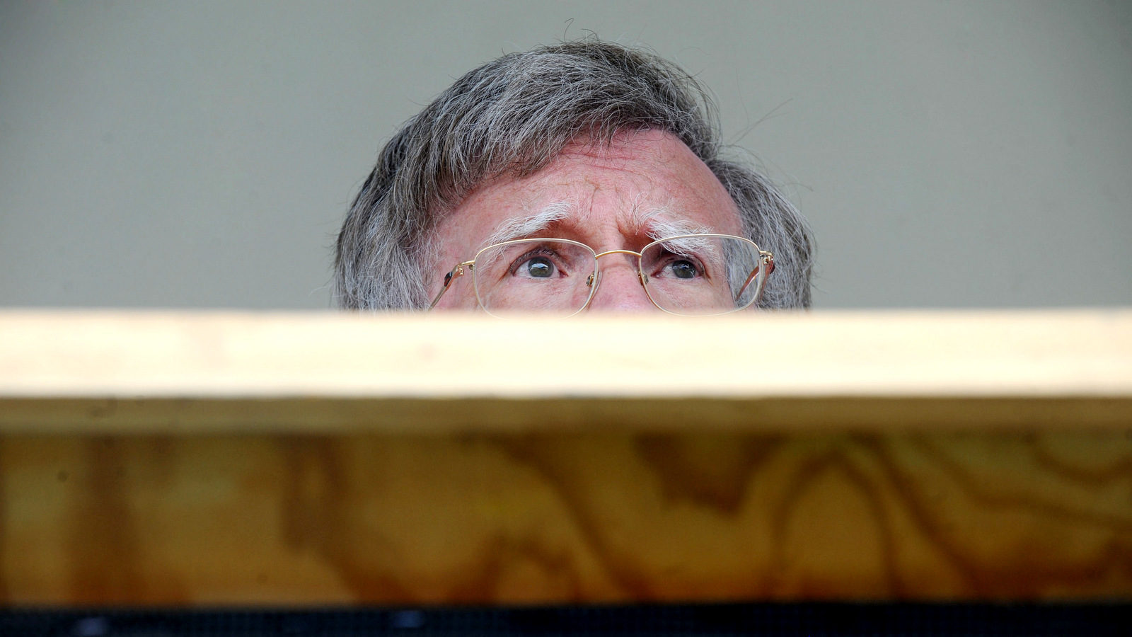 Click to enlarge John Bolton