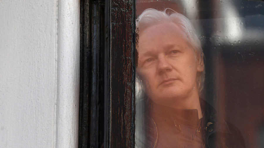 Click to enlarge assange