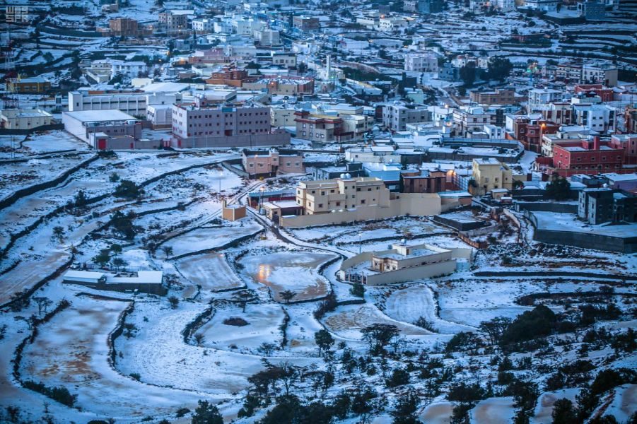 saudi snow