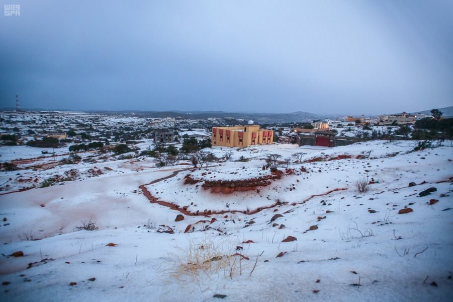 saudi snow