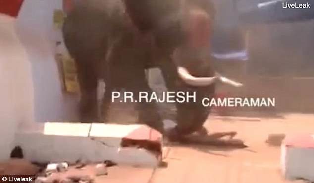Suddenly the creature stomps forward and crushes the man's body under his giant feet