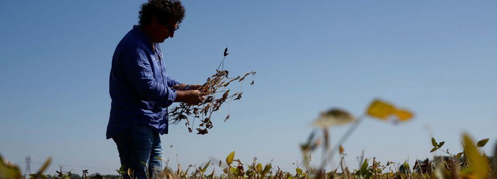 Argentina’s Worst Drought Undermining Economy