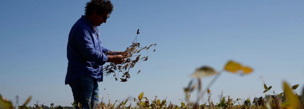 Click to enlarge Argentina’s Worst Drought Undermining Economy