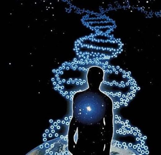 human DNA