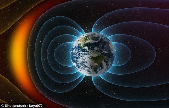 Click to enlarge For a bird to know roughly where it is in the world – and correct itself if it goes off course – it needs what is known as 'true navigation'. The Earth's magnetic field (stock image) is pictured
