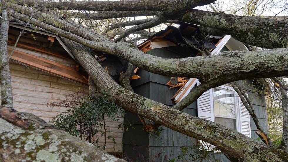 Click to enlarge Alabama storm damage