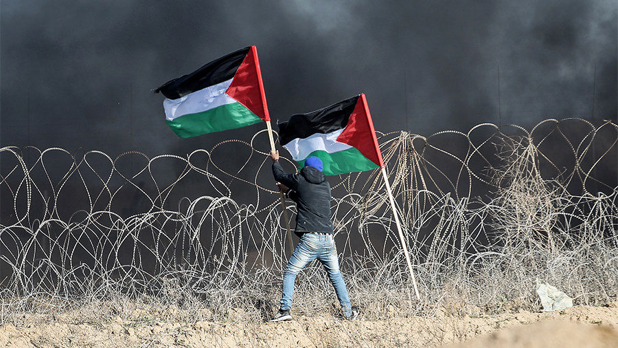 palestine demonstrators