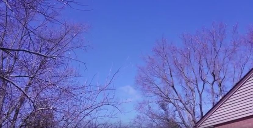 Strange sounds in OH