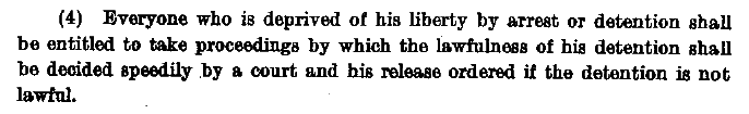 Section 4