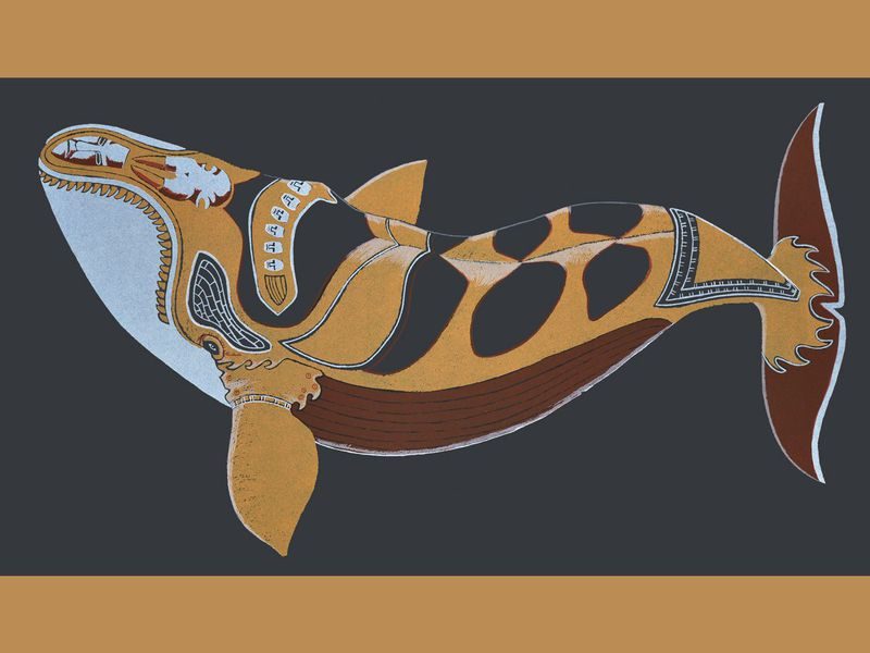 Click to enlarge “Tattooed Whale, 2016” by Tim Pitsiulak. Screen-print on Arches Cover Black.