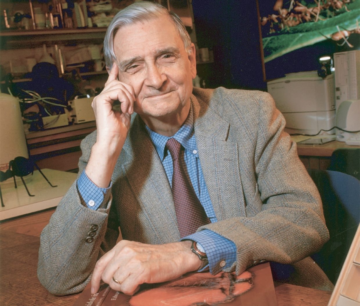 Click to enlarge Dr. E.O. Wilson