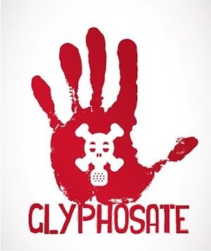 glyphosate