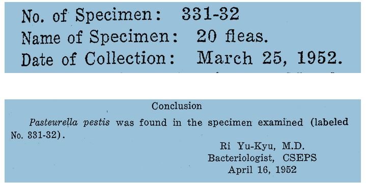 report on bacteriological specimen