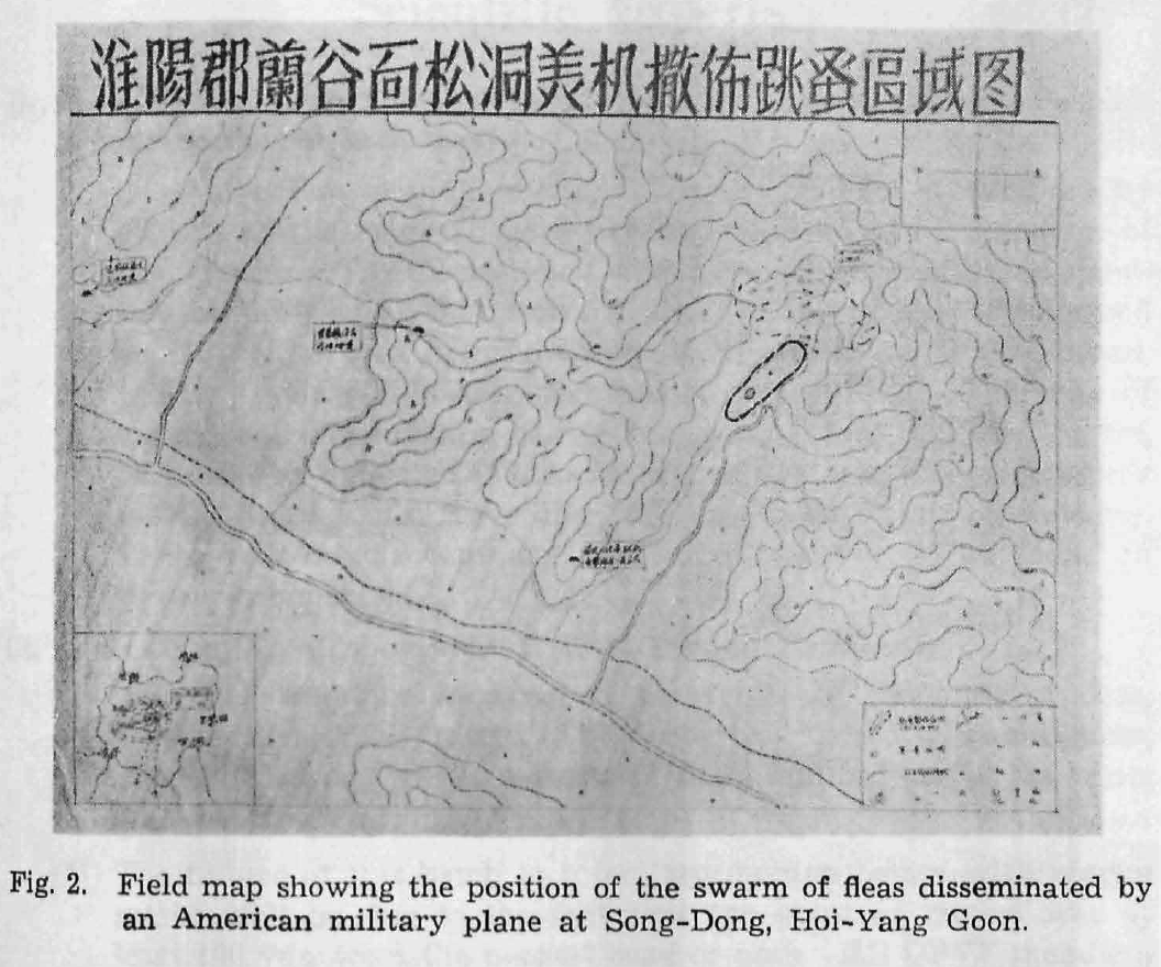flea field  map