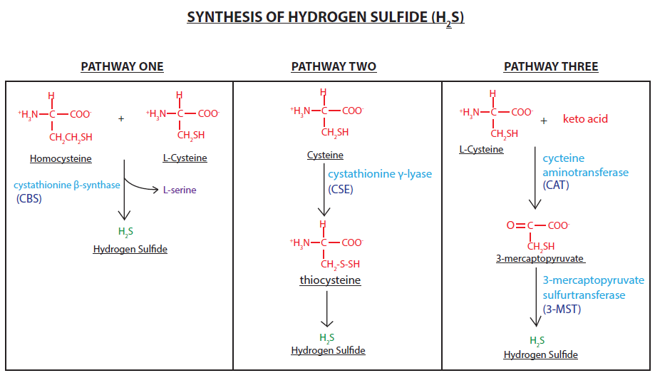 Click to enlarge hydrogen sulfide gas