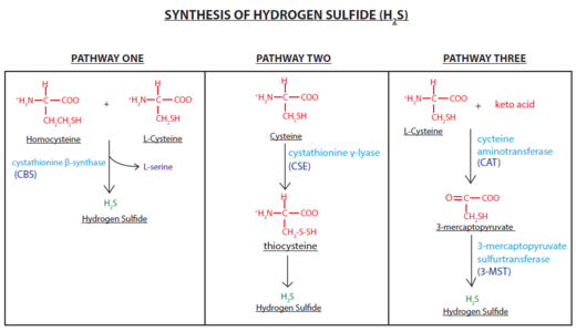 hydrogen sulfide gas